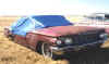 046_R_Ft.jpg (8634 bytes)